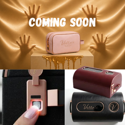 The LUX - Portable Biometric Sex Toy Storage Bag AND Dox System